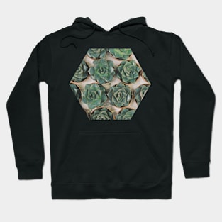 Succulent Collection Hoodie
